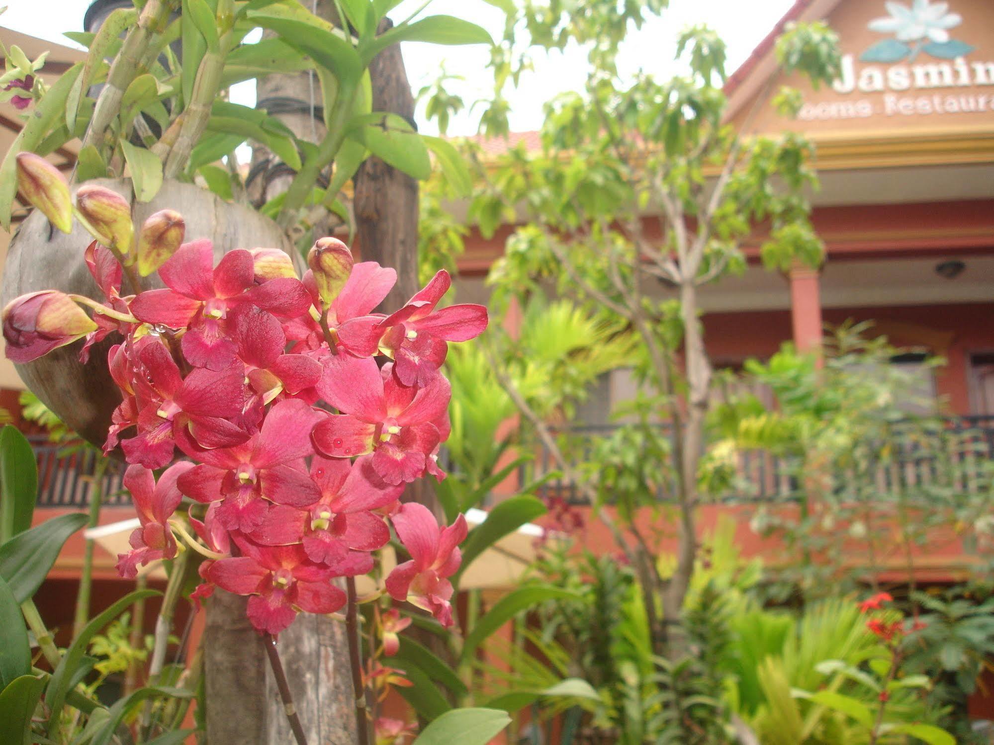Jasmine Family Hostel Siem Reap Eksteriør bilde